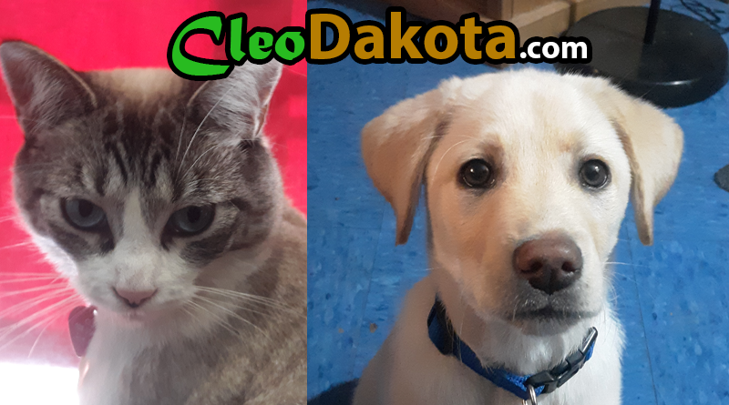 Welcome to CleoDakota.com